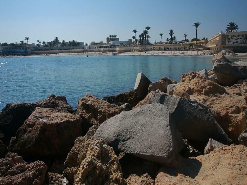 Hotel Les Palmiers 3*